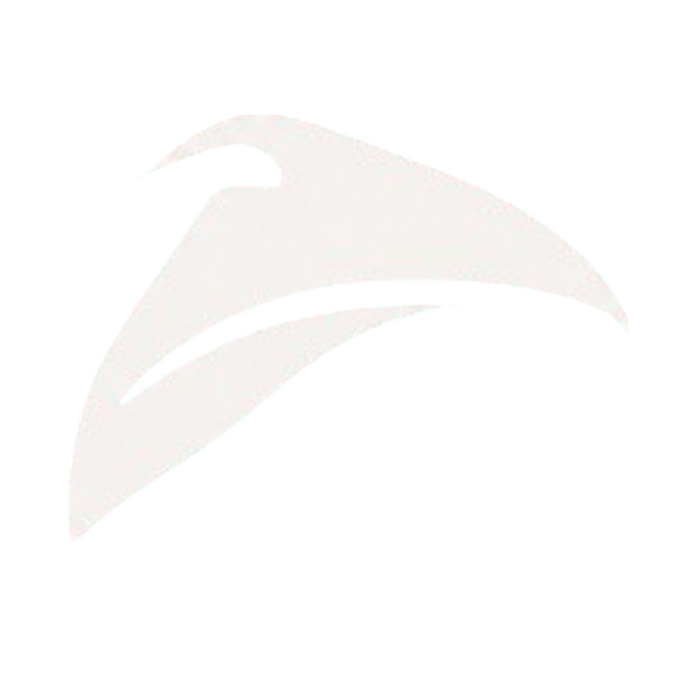 Chirpy